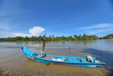 Pemkab Bengkulu Selatan Pastikan Akomodir Pembiayaan Asuransi Nelayan