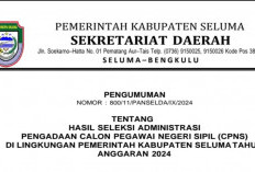 Cek Nama Anda ! Disini Daftar Pelamar CPNS Seluma Yang Lolos Administrasi