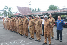 Perkuat Kabinet Rachmat Riyanto-Tarmizi,  Pemkab Bengkulu Tengah Lelang 11 Jabatan Eselon II