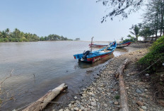 Bengkulu Selatan Sulit Bangun Pelabuhan, Penjelasan Bupati Rifai  
