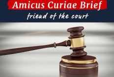 Mengenal Amicus Curiae dalam Peradilan serta Pengaruhnya