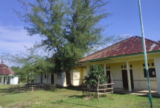  Gedung SMA 11 Kaur Jadi Sekolah Rakyat, Titik Nol Rehabilitasi 