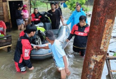 Sepanjang 2024, Kota Bengkulu Dilanda 31 Bencana Alam, Total Kerugian Hingga Rp585 Juta