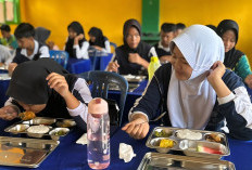 Kendala MBG di Bengkulu Tengah, Minimnya Chef Profesional 