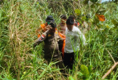 Tahun Ini, Lakukan 31 Operasi SAR, 31 Korban Ditemukan Meninggal