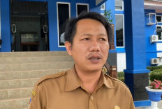 Penderita TBC di Kabupaten Lebong Capai 128 Orang, 2 Diantaranya Meninggal Dunia