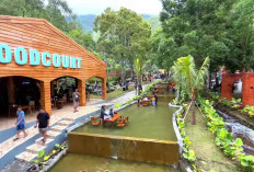 Rating Tertinggi untuk Liburan Keluarga! Berikut 7 Tempat Wisata Terbaru di Ciwidey 2025