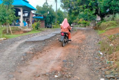  Mukomuko Gagal Terima DAK Konektivitas Rp51 M, Masyarakat 'Gigit Jari'