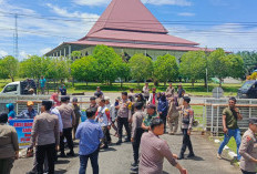 Tidak Punya Izin Lengkap, PT DSJ di Kaur Terancam Tutup 