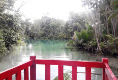 2 Lokasi Wisata yang Wajib Dikunjungi Saat Liburan ke Pulau Enggano
