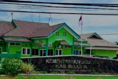 Benang Kusut Pungli PPG Seluma Terurai, Nama Calon Tersangka Mengerucut