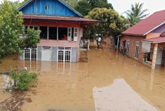 BPBD Bengkulu Tengah Catat Ada 11 Desa Rawan Banjir