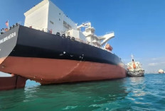 Ekspansi Pasar Dunia, Pertamina International Shipping Tambah 3 Tanker Baru