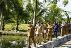 Bupati Bengkulu Selatan Ingatkan Kontraktor, Selesaikan Proyek Tepat Waktu