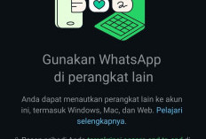 Tanda-tanda WhatsApp Kamu Disadap, Begini Cara Mengetahuinya 