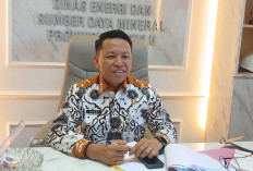 Februari 2025 ESDM Mulai Pendataan, Ini Penerima Bantuan Listrik Gratis Prioritas 2025 di Provinsi Bengkulu