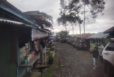 Tata PKL Kawasan Wisata jadi Lebih Tertib