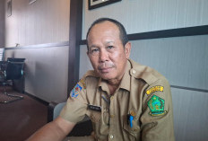 Mei, Pembangunan Jembatan  dan Jalan Dimulai