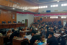 Dewan Kaur Siap Bersinergi, Dukung Program Prioritas APBD 2026 
