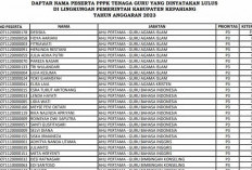 BREAKING NEWS : Ini Nama 209 Pegawai Pemerintah dengan Per 209 Nama PPPK Guru 2023 Lulus Kabupaten Kepahiang 