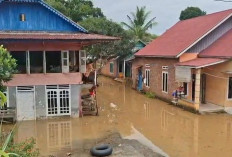 Drainase jadi Kunci, Pemprov Bengkulu Bidik Rawa Makmur Bebas Banjir