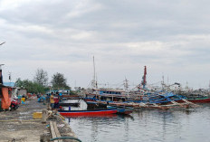 Keluhan Biosolar Nelayan Ditanggapi DKP: Sampaikan Apabila Ada Yang Tidak Dapat