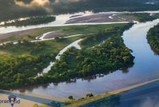 Jarang Diketahui! Berikut 3 Faktor Utama Pembentukan Sungai Amazon 