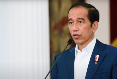 Jokowi Belum Putuskan Pengganti Firli 