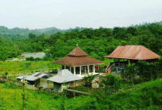 Misteri Sebakas Dusun Tinggi di Bengkulu Selatan, Dipercaya Sebagai Bekas Kerajaan 
