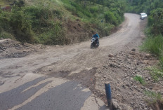 Jalan Provinsi Rusak Parah, Banyak Masyarakat jadi Korban 