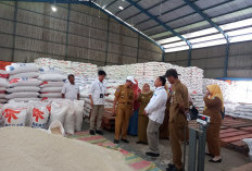 Bulog Sudah Salurkan 18.200 Ton Cadangan Beras Pemerintah, untuk Warga Bengkulu