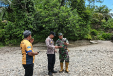Usul Pembangunan Jembatan Penghubung Kecamatan Manna dan Bunga Mas