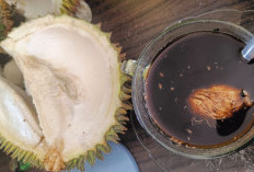 Jadi Trend Kuliner Saat Sedang Musim, Simak Sajian Unik Kopi Campur Durian