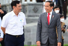 Jokowi Beri Tugas Baru Luhut, Dibantu 6 Wakil Urusi Industri Gim Nasional, Ini Tugasnya