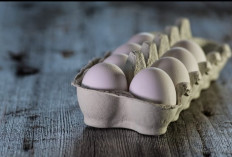 Ini Khasiat Telur Bebek yang Terkenal Sejak Zaman Kuno 