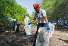 Peringati Hari Lingkungan Hidup Sedunia, Yayasan AHM Tanam Puluhan Ribu Mangrove