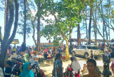 15 Ribu Pengunjung, Setoran PAD Pantai Laguna Hanya Rp 18,5 Juta, Ini Kata Pengelola 