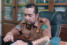 Tidak Ada Pelayanan Pemberkasan PPPK Tahap I Selama Libur hingga 29 Januari 2025, Dheni: Dilakukan Online