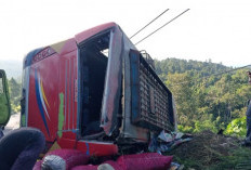 Bus Sriwijaya dari Bengkulu Terguling di Pesisir Barat, Bawa 32 Penumpang 