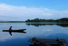 Pesona Danau Dendam Bengkulu, Destinasi Wisata Alam Penuh Misteri