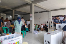 Pengemasan Logistik Pilkada di Kaur Sisakan 5 Kecamatan, Ini Penjelasan KPU 