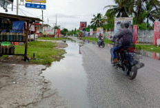 Bintuhan Rawan Banjir,  Cek Lokasi dan Penyebab