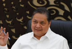 Pemerintah Berikan Insentif PPN 6 Persen untuk Tiket Pesawat