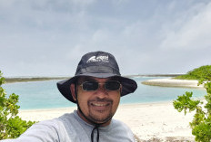 Harimau Hantui Warga, BKSDA Cek Kebenarannya