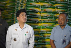 Mulai Pekan Depan, 37.637 Warga Miskin Terima Beras dan Migor Gratis 