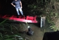 Begini Kronologis Lengkap Tragedi Truk Pasir Gagal Nanjak di Kepahiang, 1 Pemancing Meninggal,1 Lagi Luka-luka