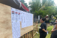Prabowo-Gibran Menang Telak di TPS Bupati Seluma, Segini Perolehan Suaranya