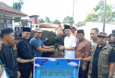 Solidaritas Pusat dan Daerah Sambut Idul Adha, Bupati Fikri Serahkan 5 Sapi Kurban