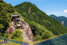 Untuk Semua Tingkat Pendaki! Berikut 5 Fakta Gunung Takao