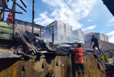 Rumah dan Toko Kelontong Terbakar di Pasar Purwodadi Arga Makmur, Kerugian Ratusan Juta 